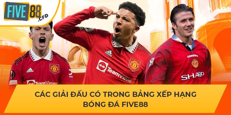 Các giải đấu có trong bảng xếp hạng bóng đá FIVE88