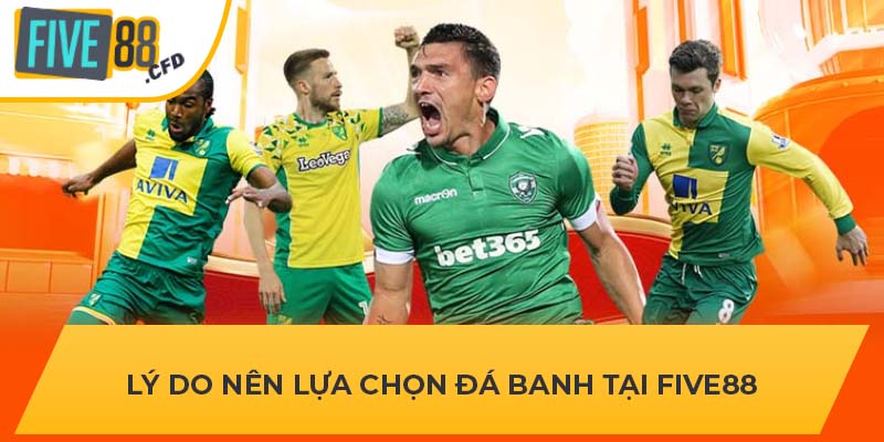 Lý do nên lựa chọn đá banh tại FIVE88